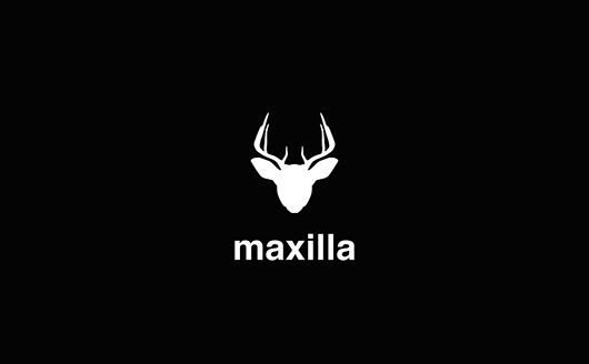 maxilla